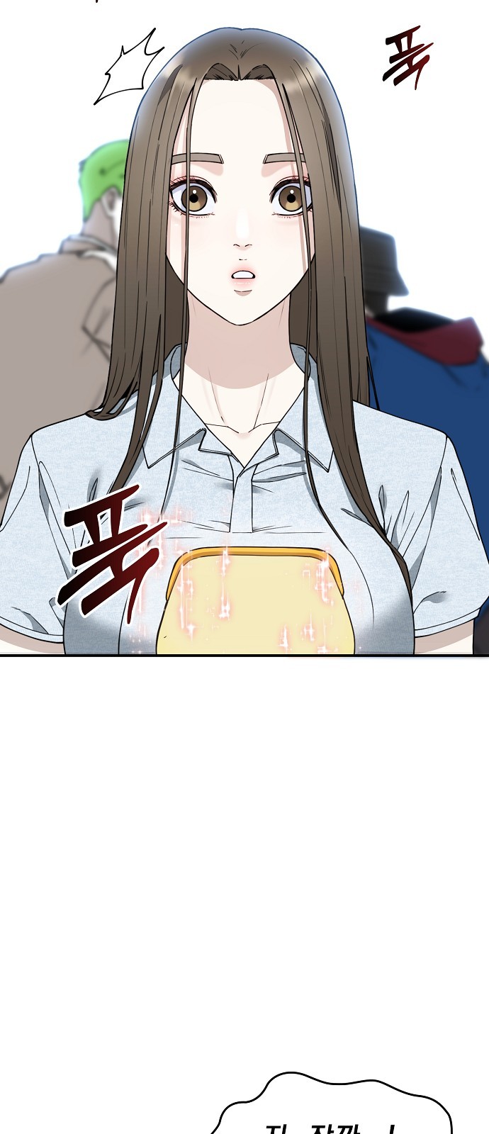 33 페이지