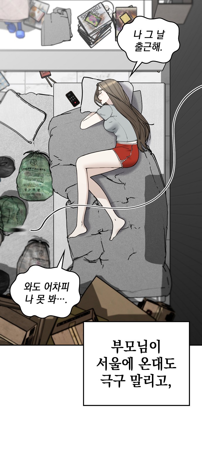 66 페이지