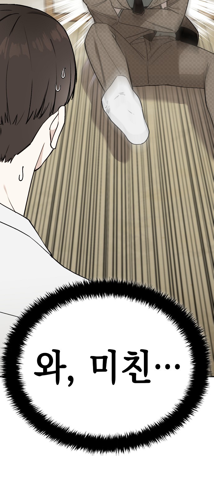 66 페이지