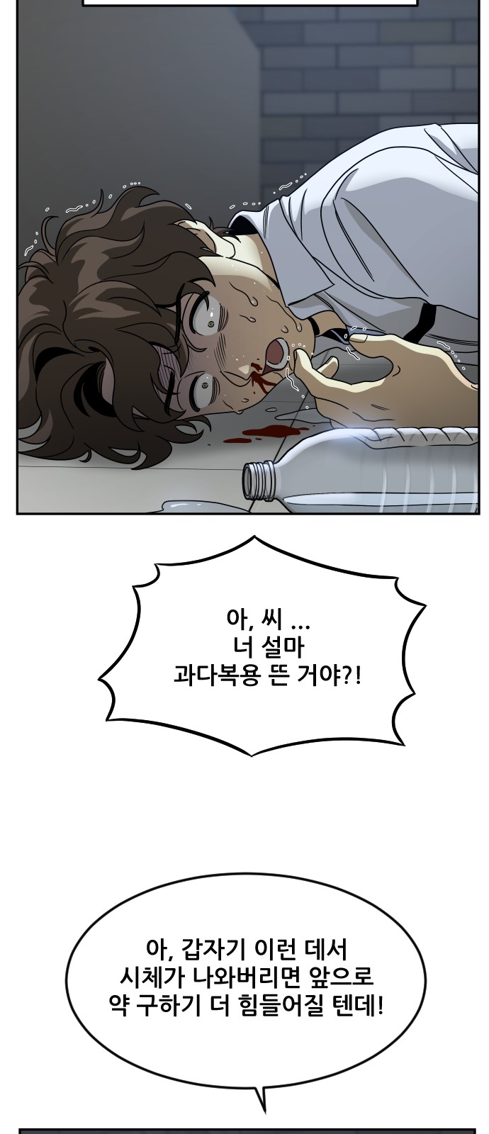 20 페이지