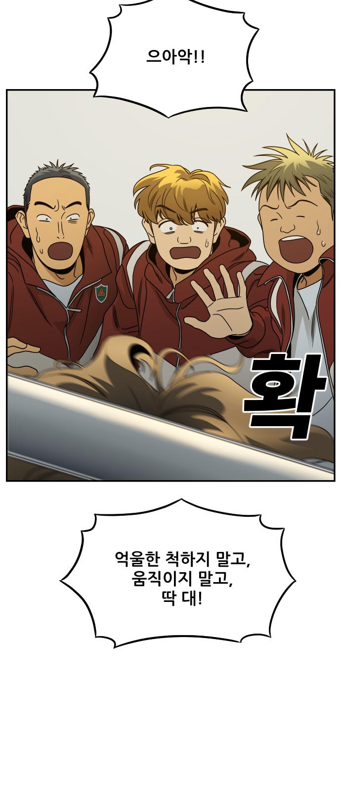 51 페이지