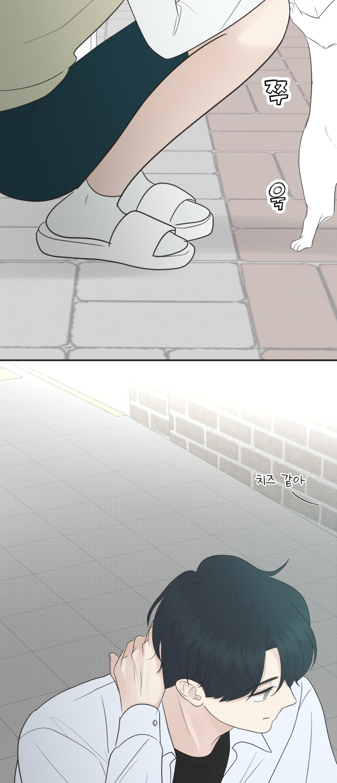 49 페이지