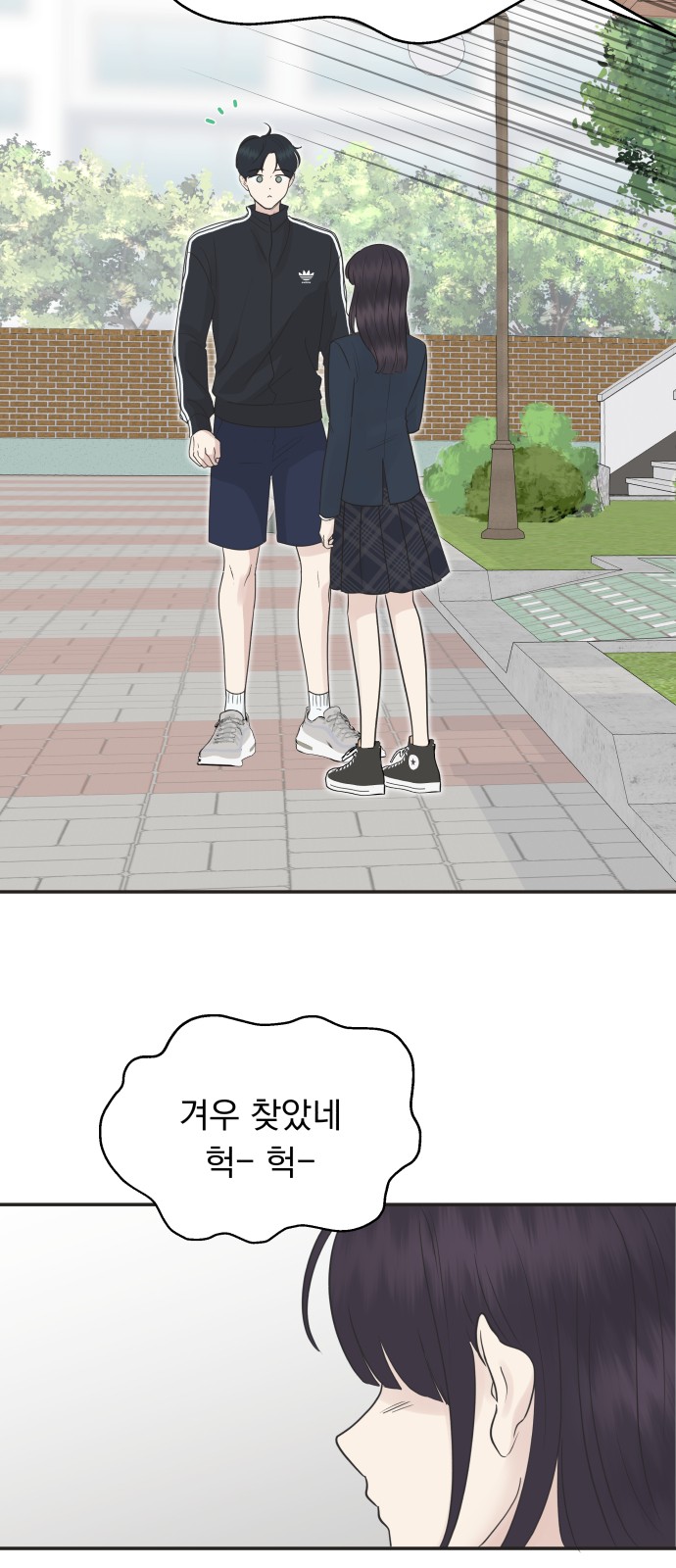 46 페이지