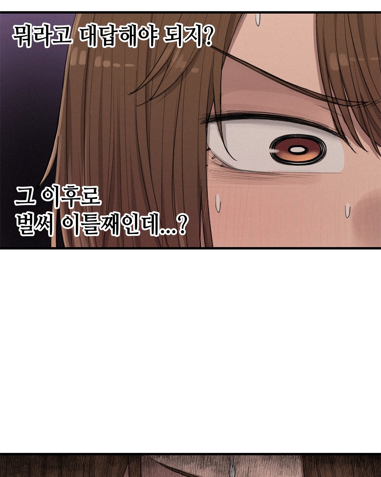85 페이지