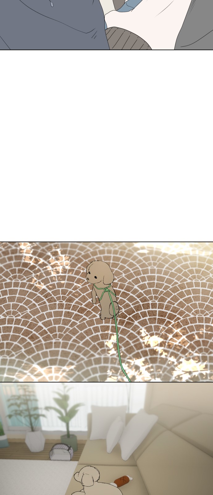 43 페이지