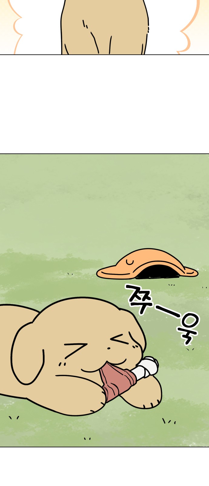 27 페이지
