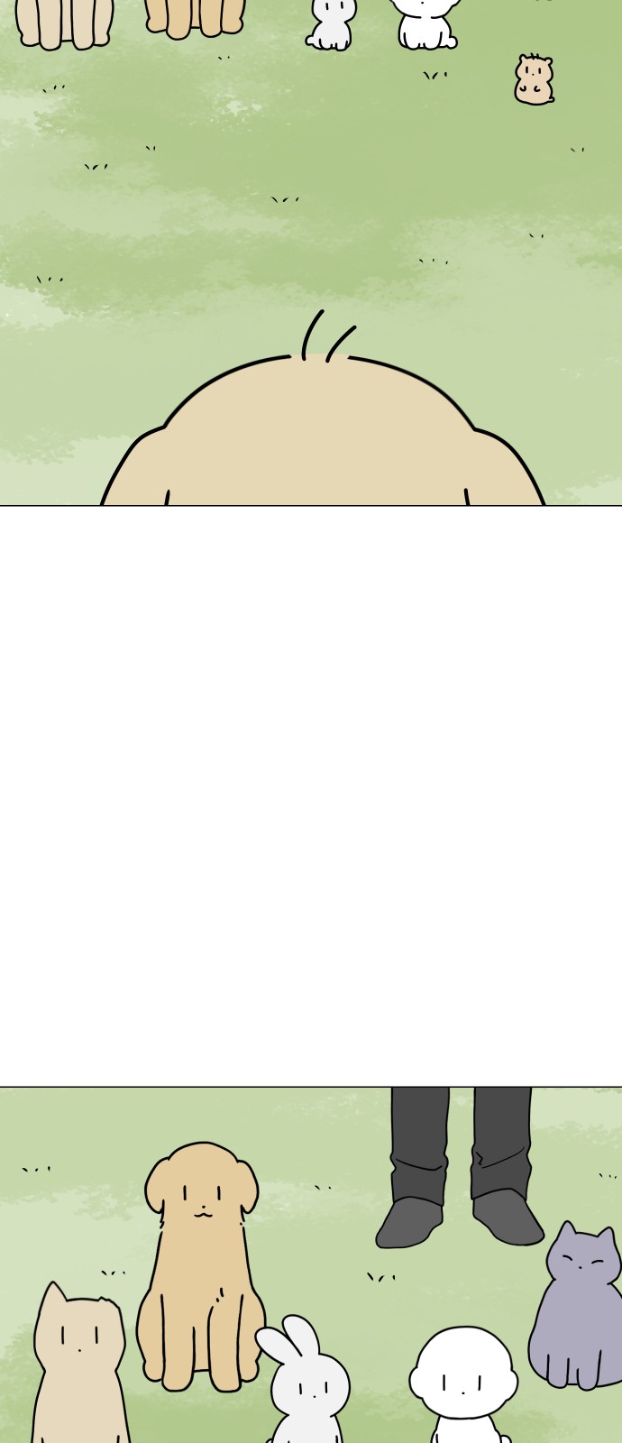 37 페이지