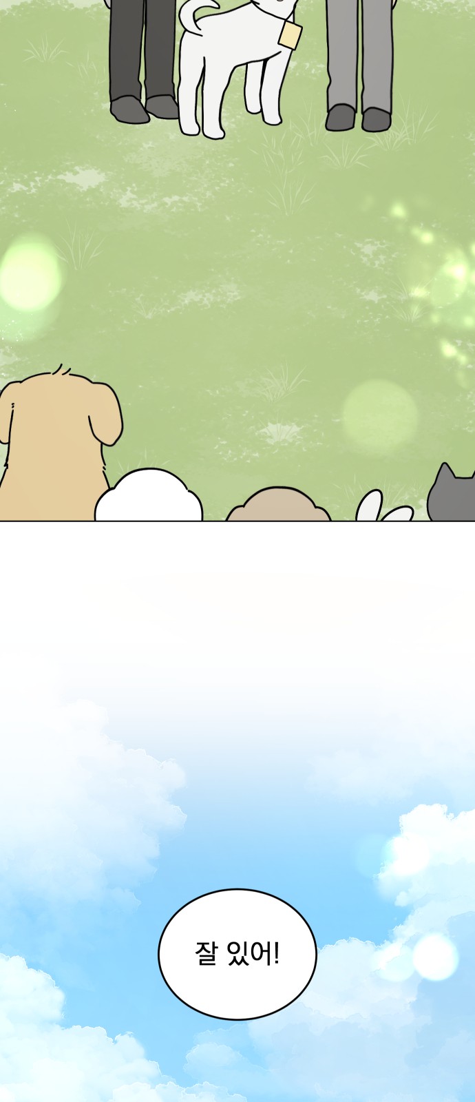 36 페이지