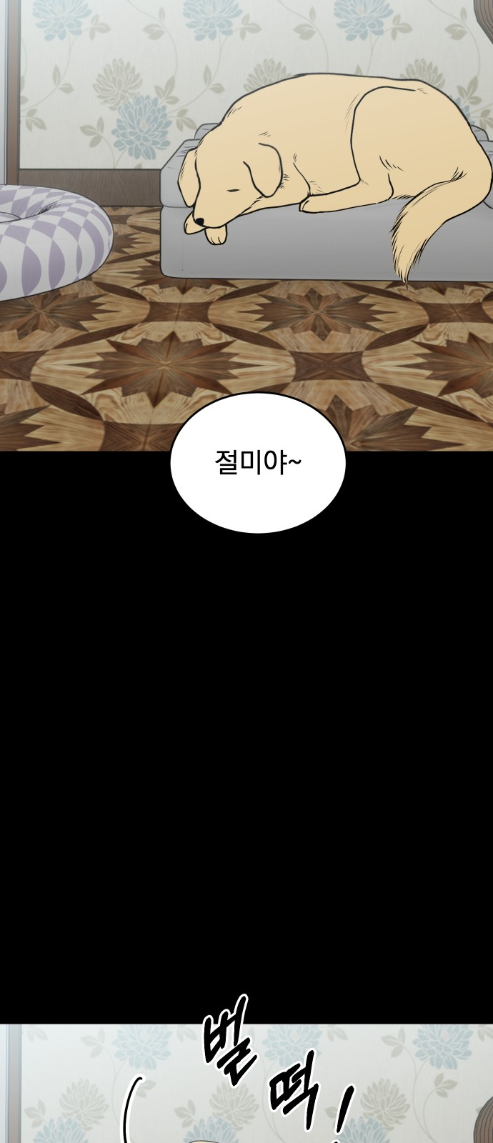 50 페이지
