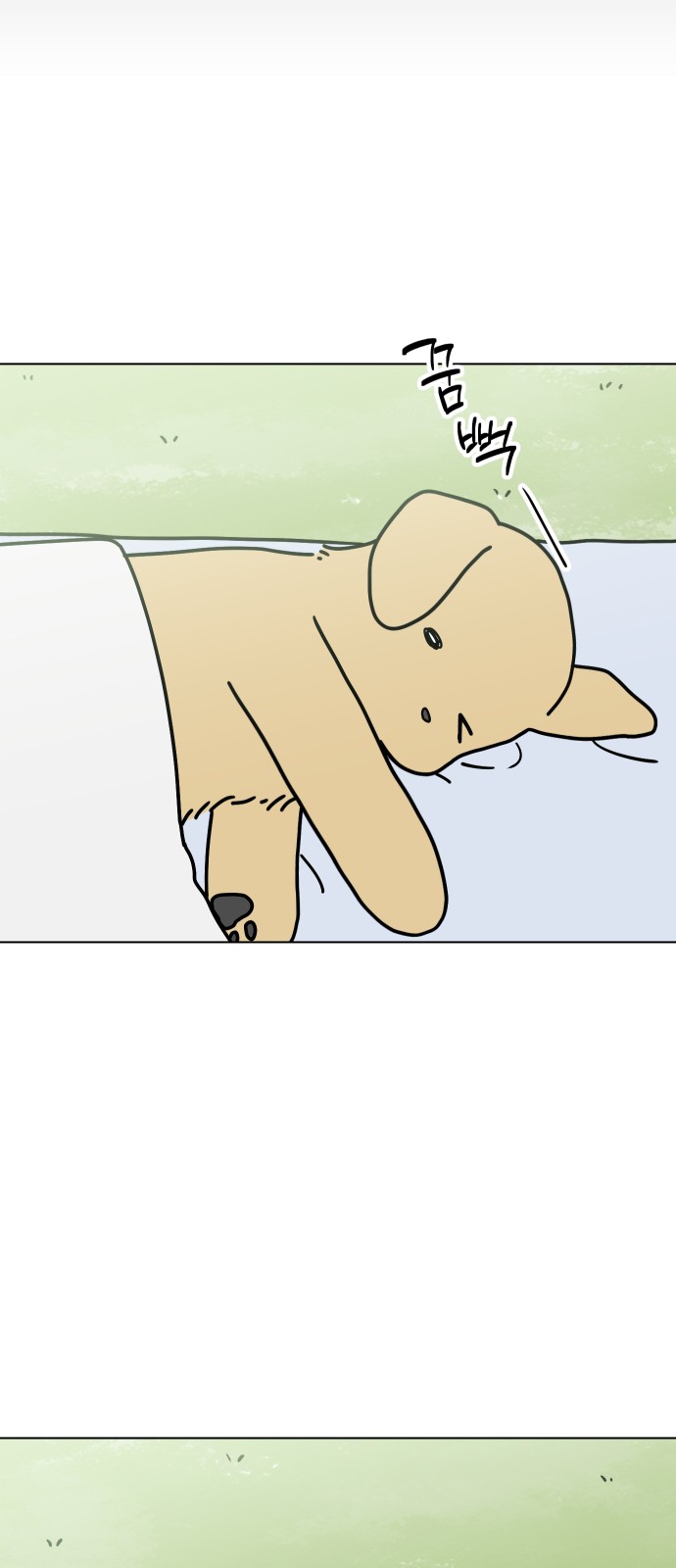 46 페이지