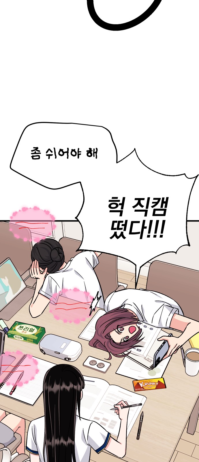 66 페이지