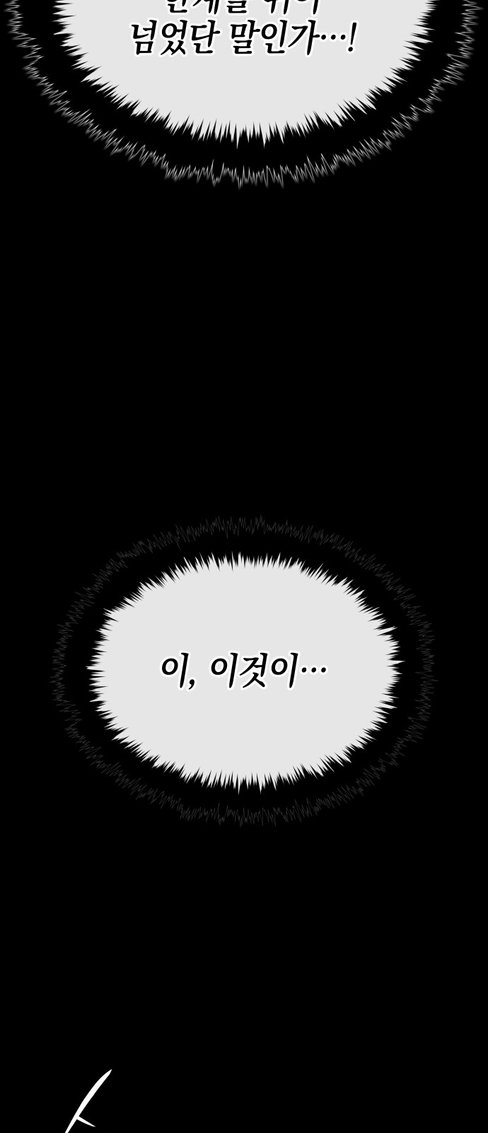 113 페이지