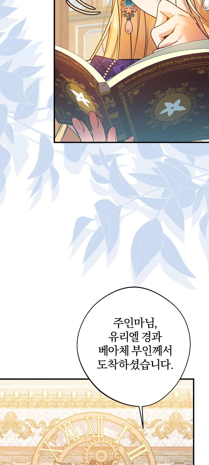 71 페이지