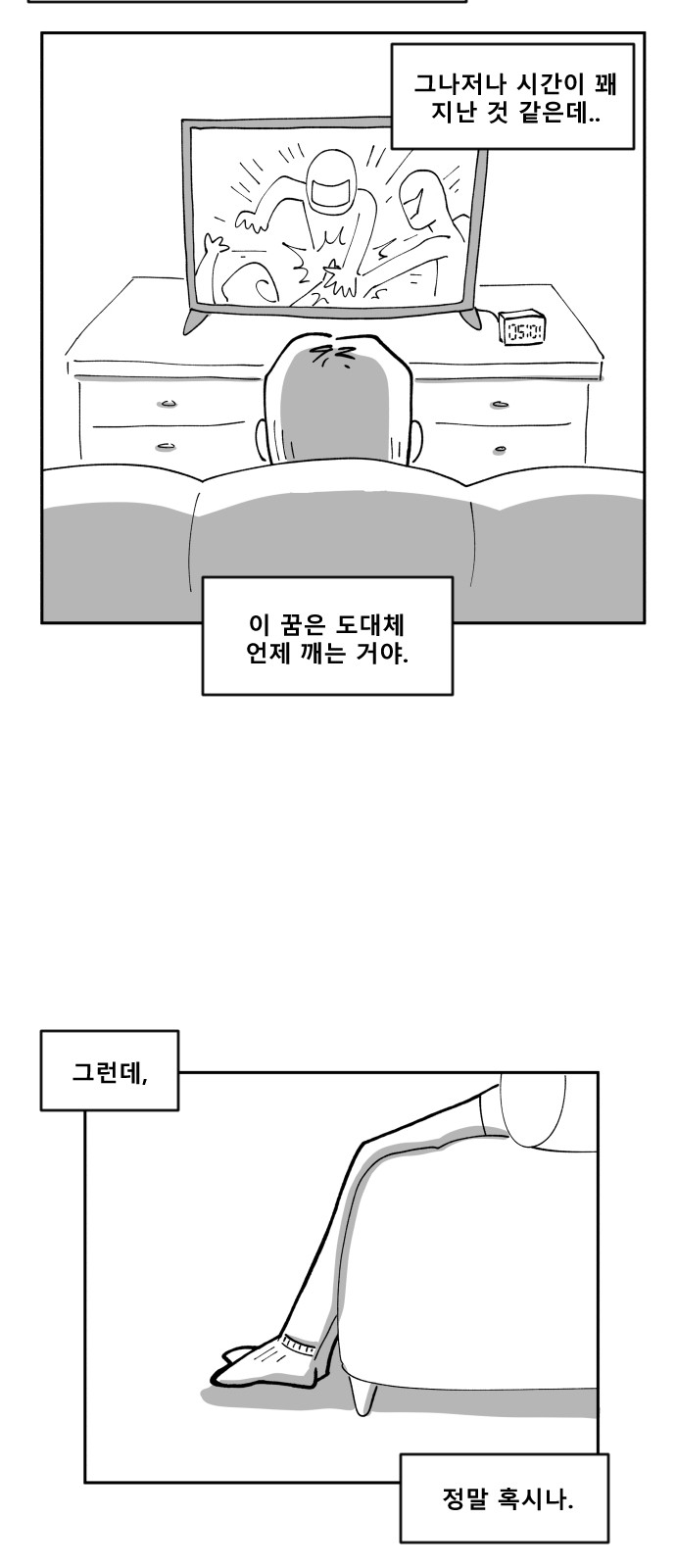 30 페이지