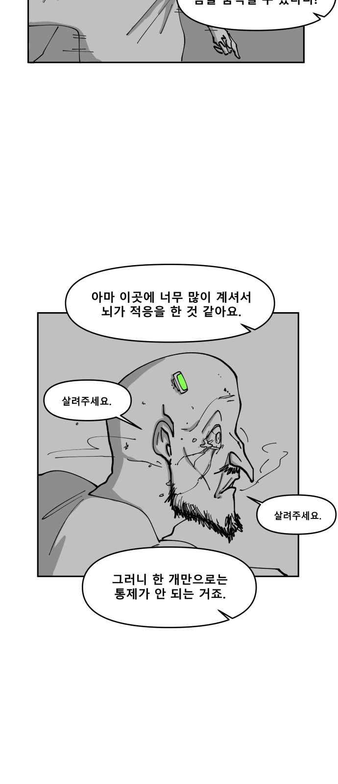 43 페이지