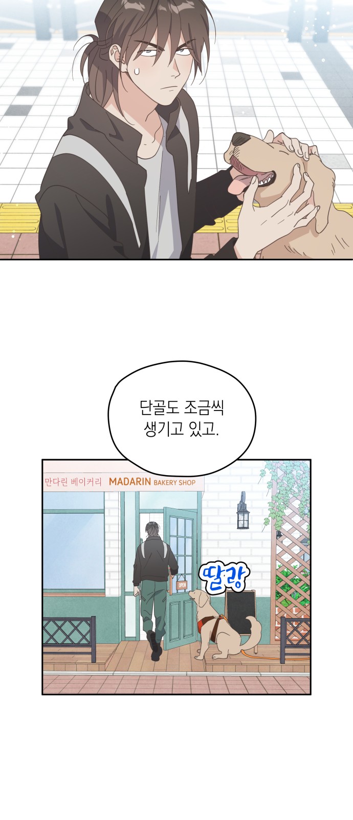 20 페이지
