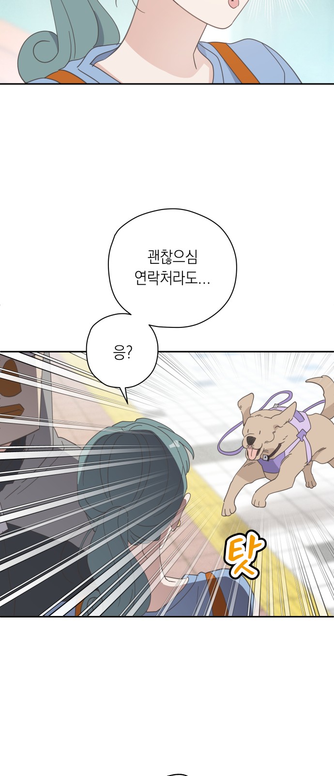 41 페이지