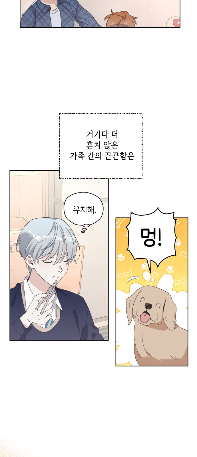 13 페이지