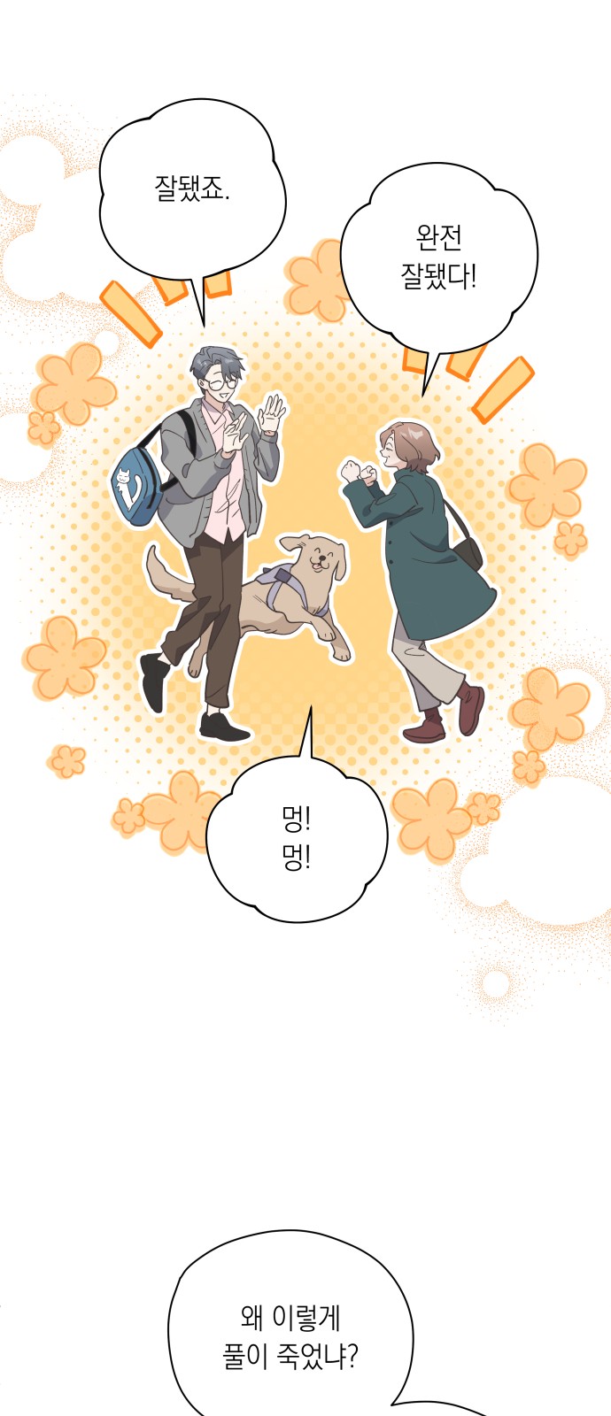 43 페이지