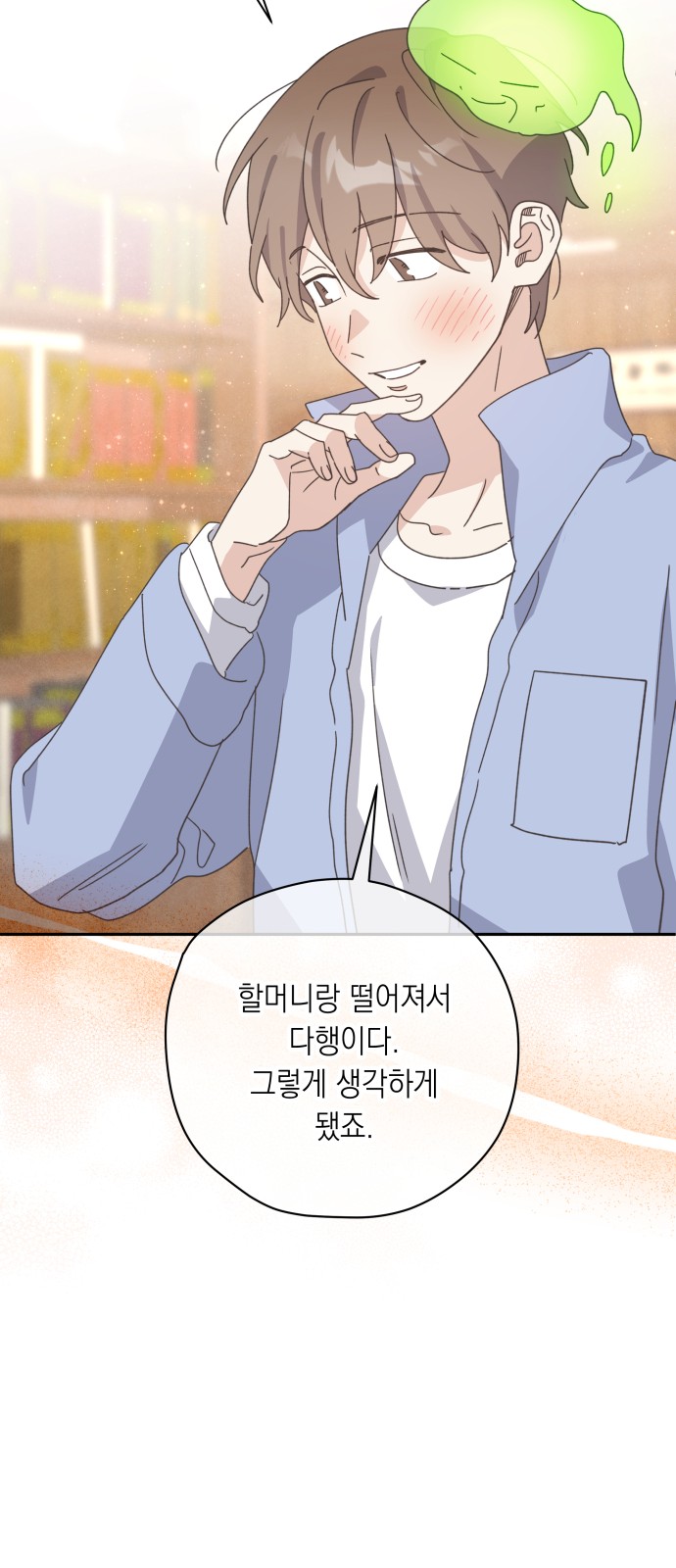 29 페이지