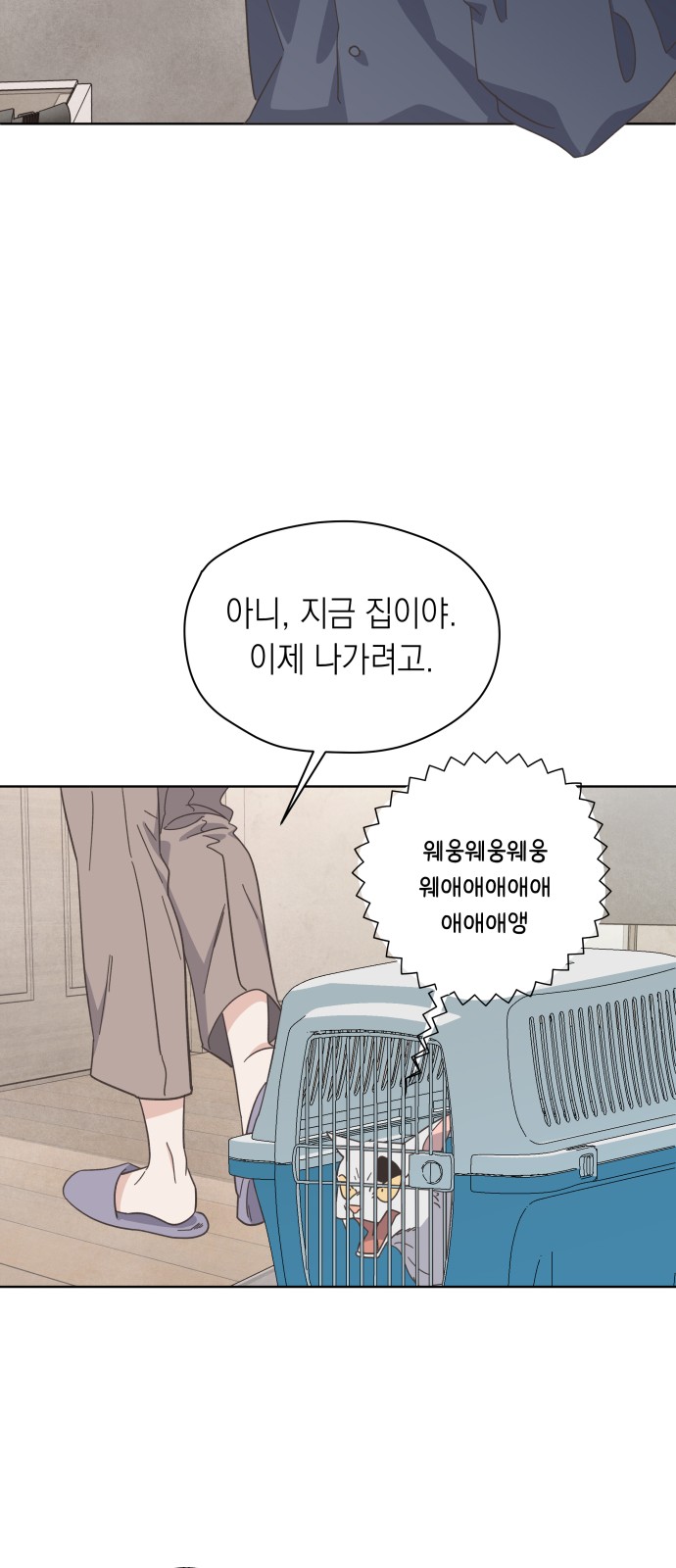 47 페이지