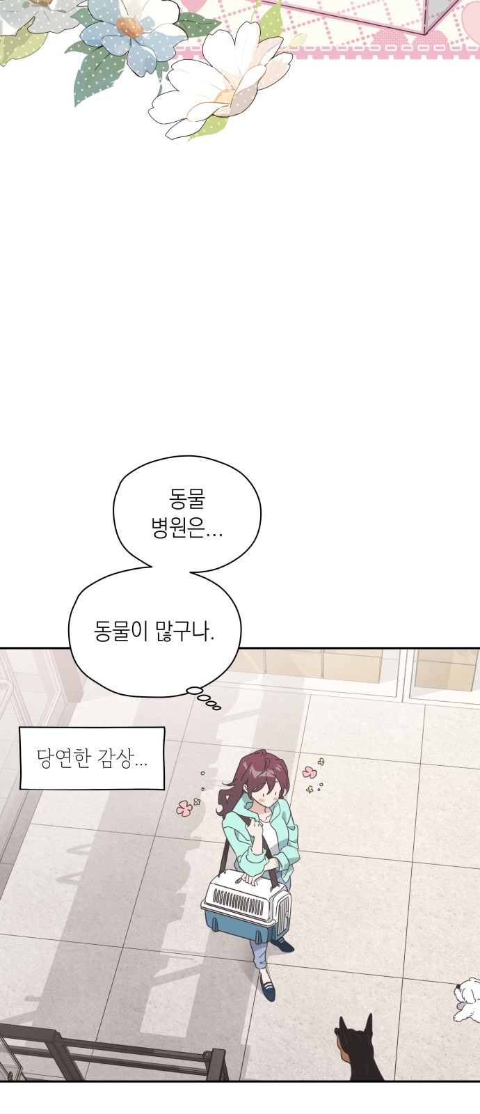 14 페이지