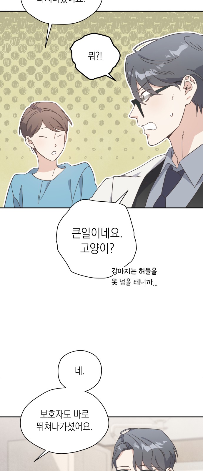 41 페이지