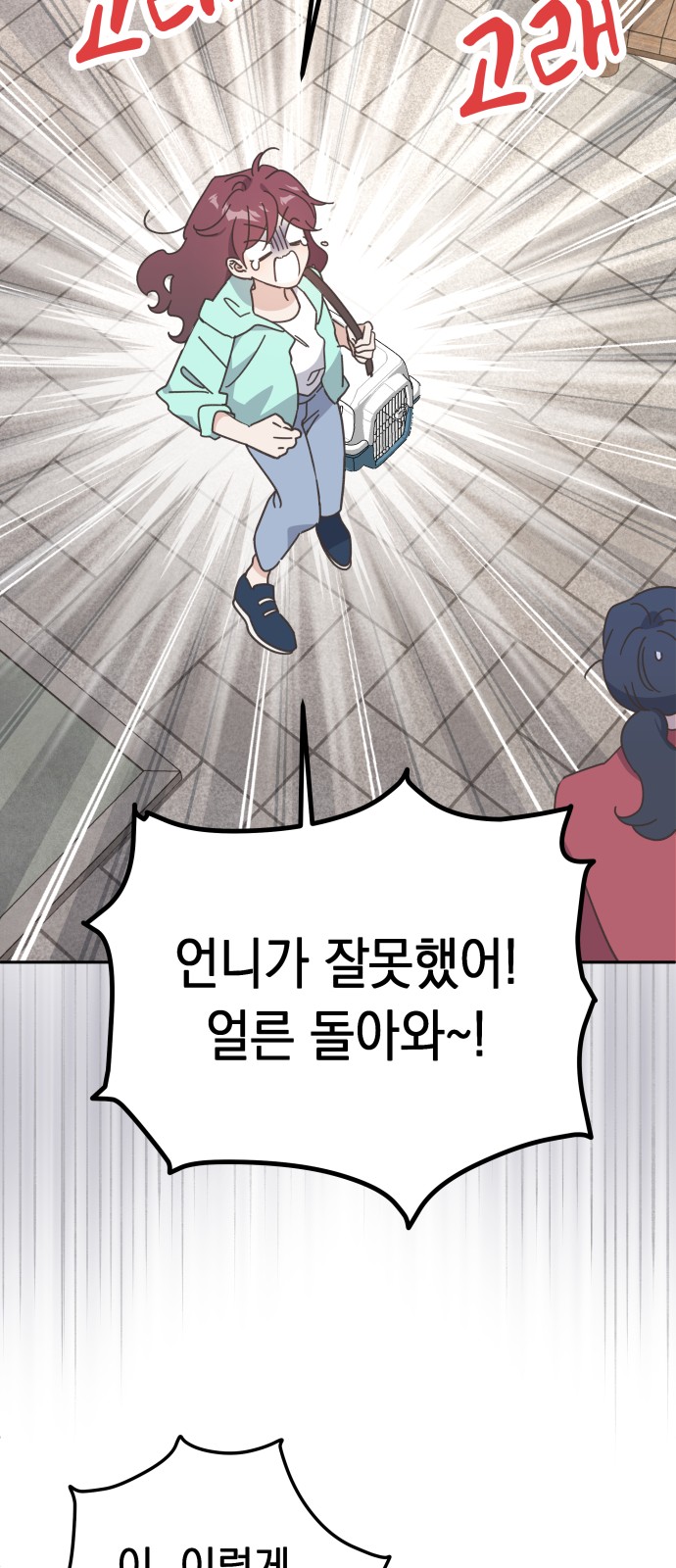 48 페이지