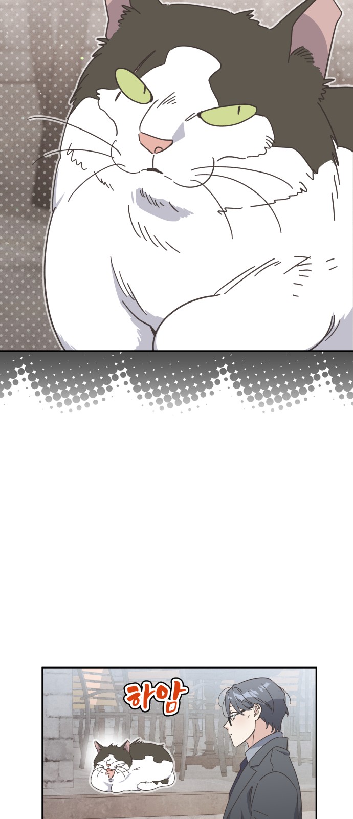 66 페이지