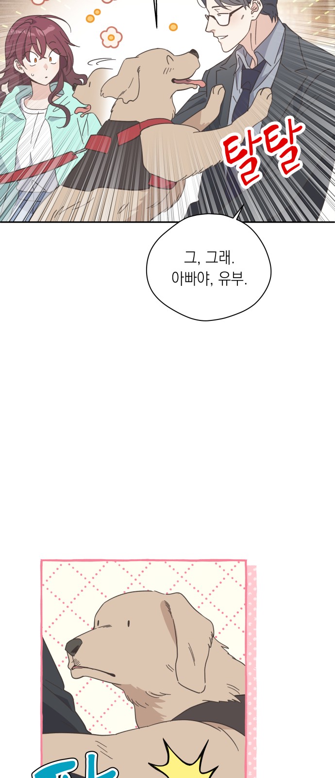 6 페이지