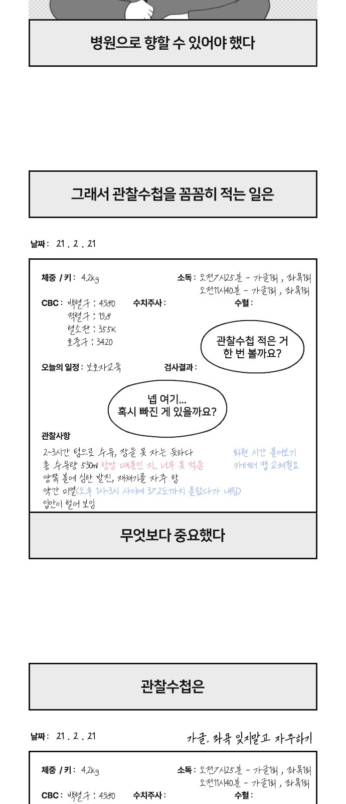 15 페이지
