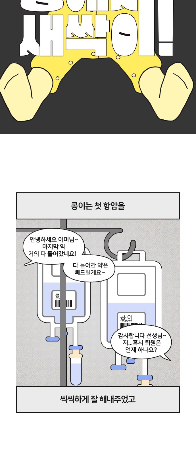 5 페이지