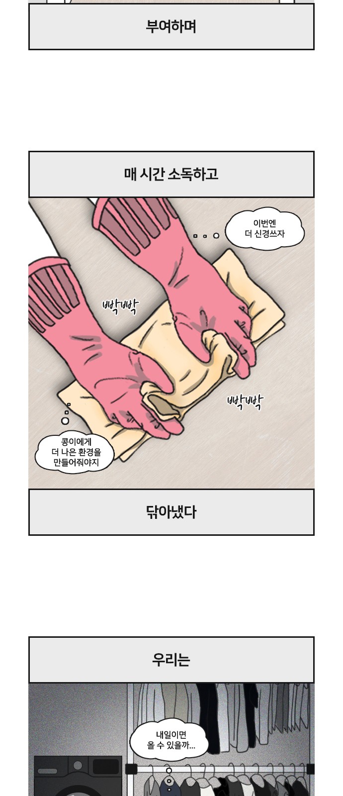 17 페이지