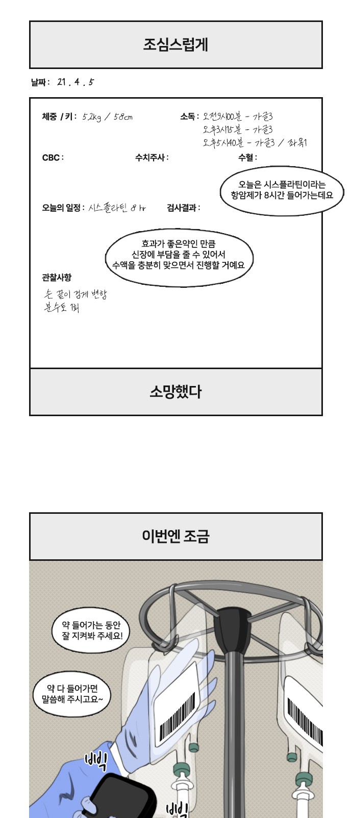 19 페이지