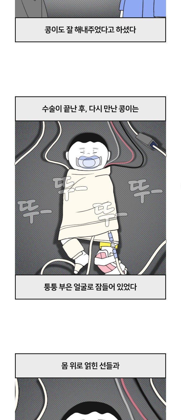 15 페이지