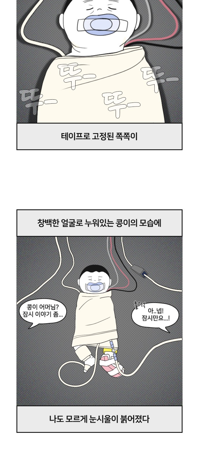 16 페이지