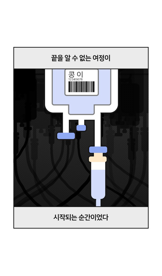 20 페이지
