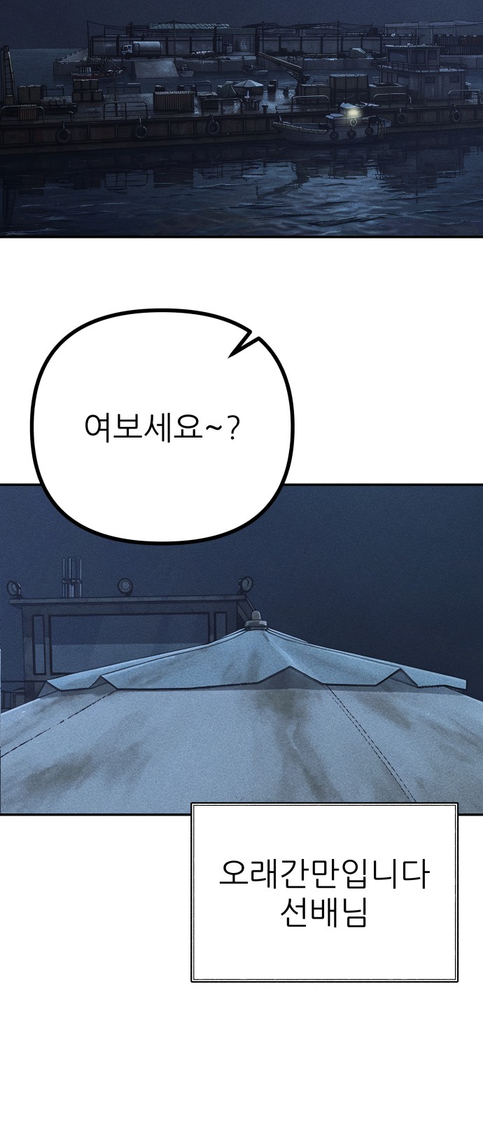 65 페이지