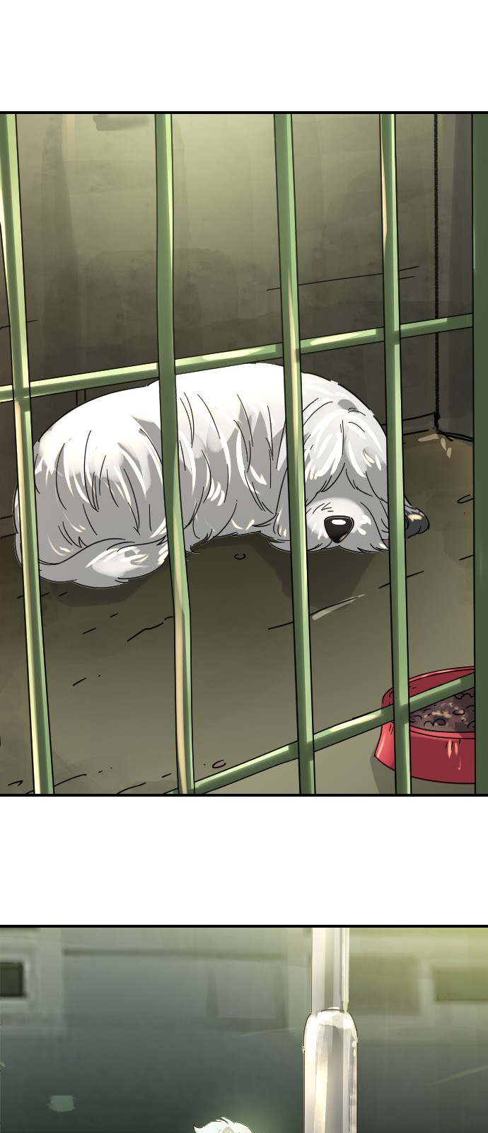 71 페이지