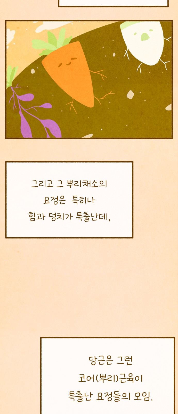 46 페이지
