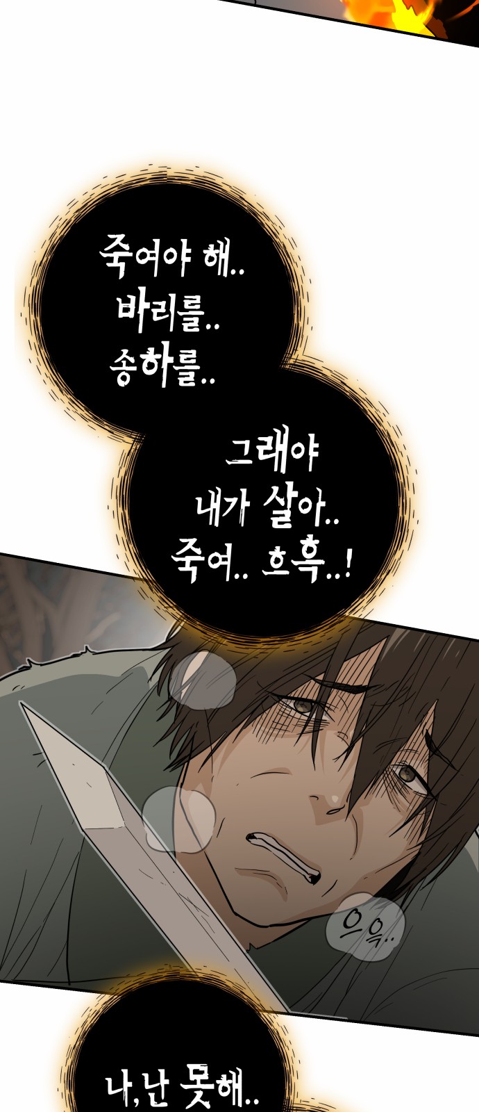 66 페이지