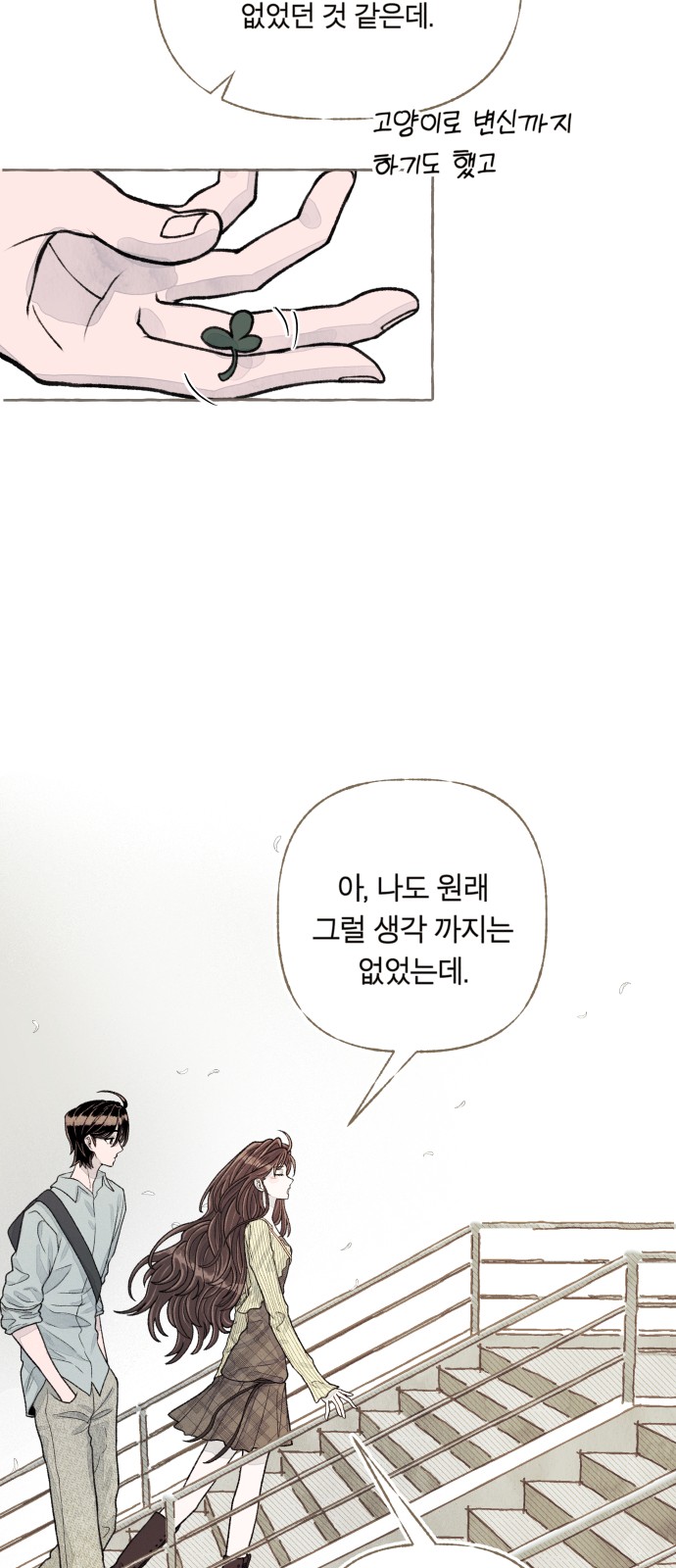 113 페이지