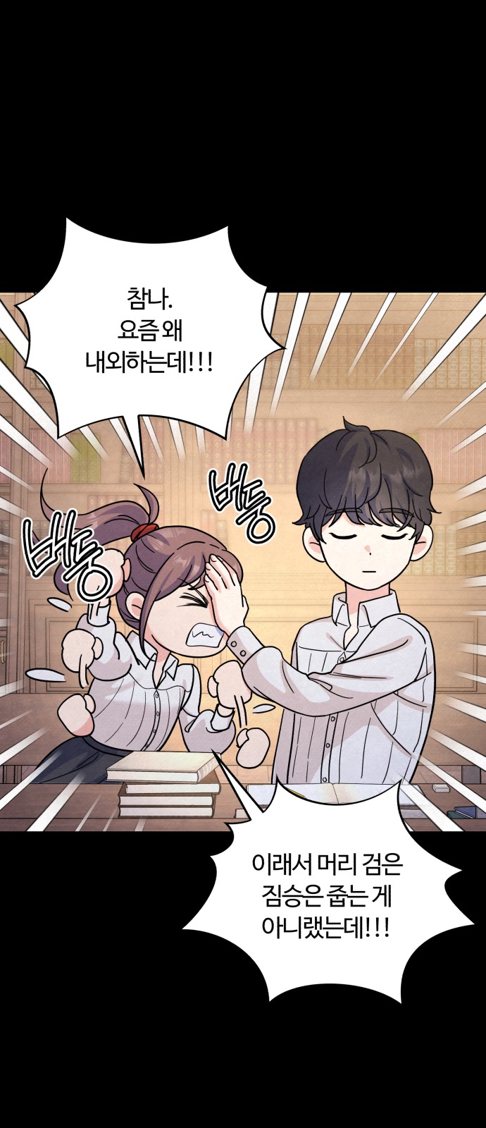 20 페이지