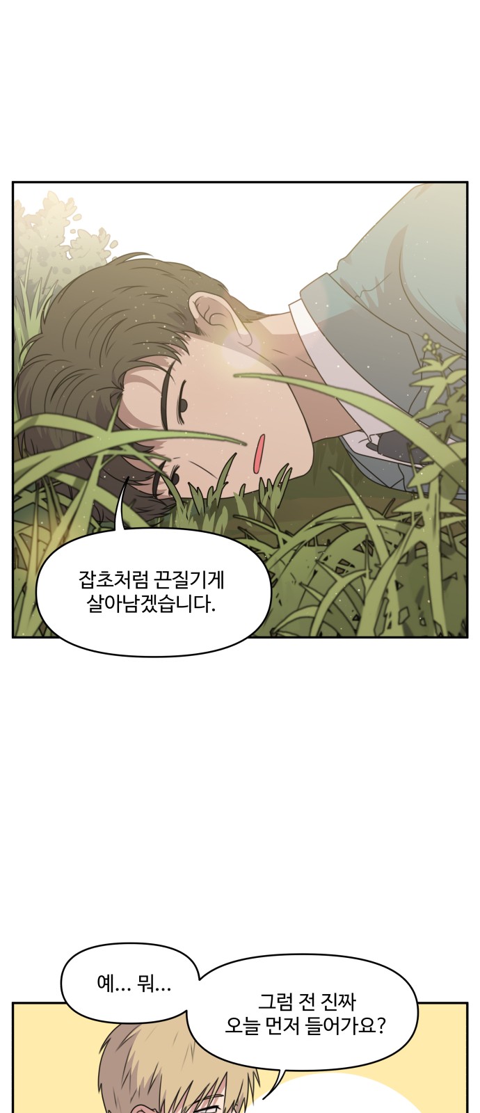 20 페이지