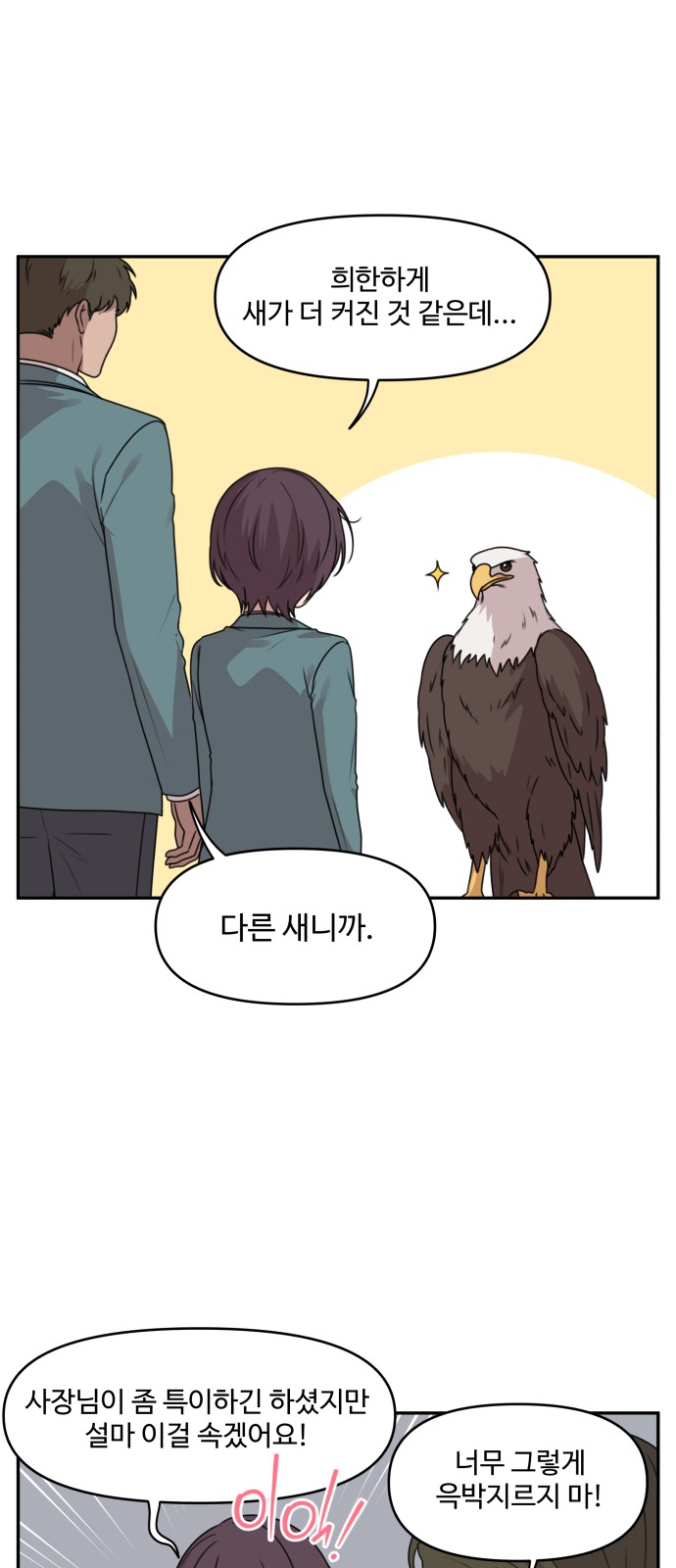 14 페이지