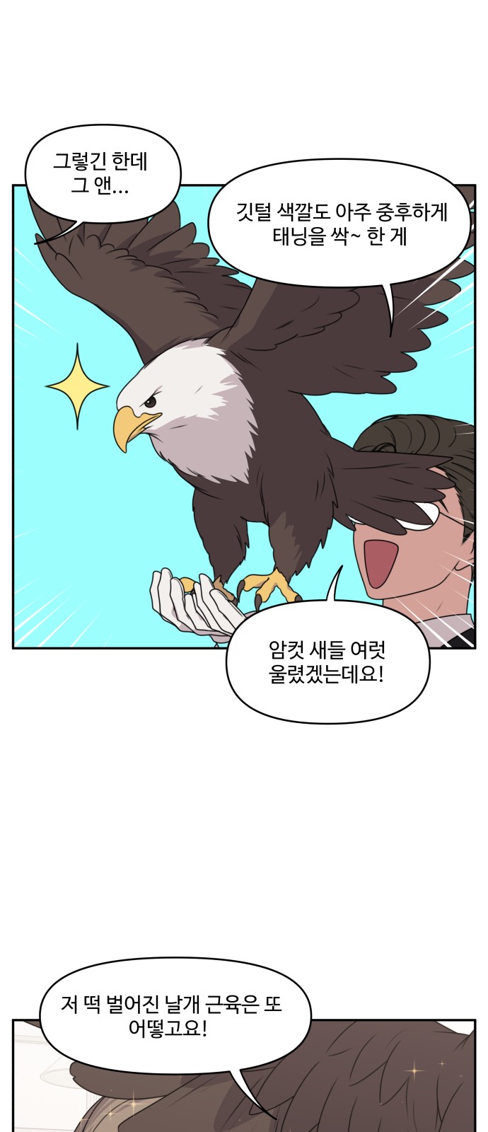 17 페이지
