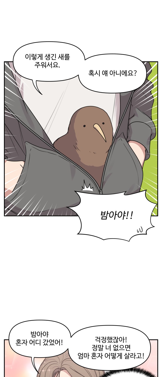 20 페이지