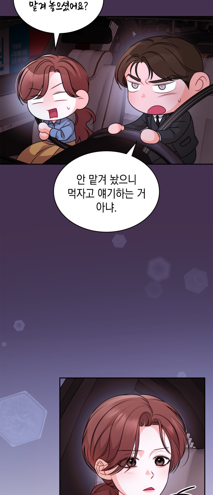 51 페이지