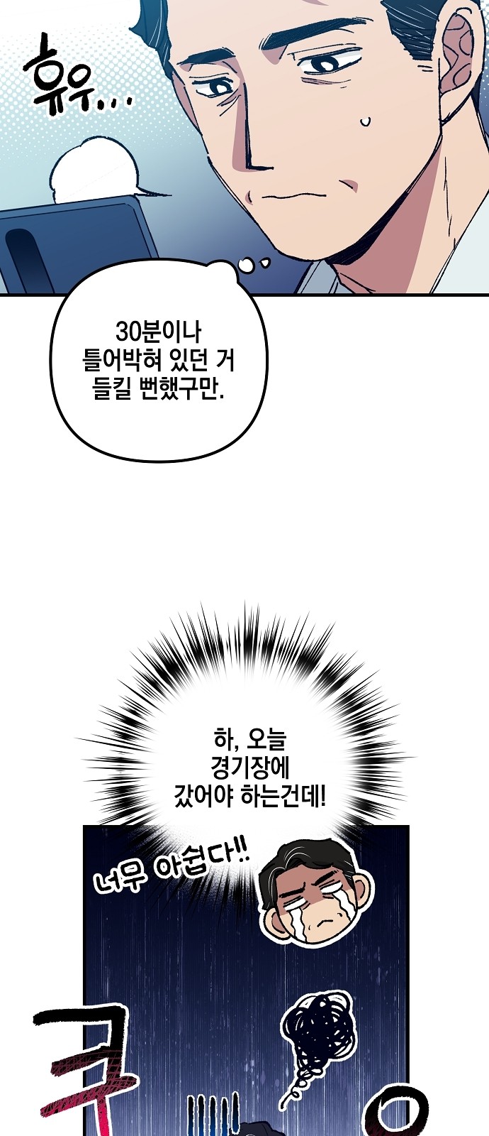 30 페이지