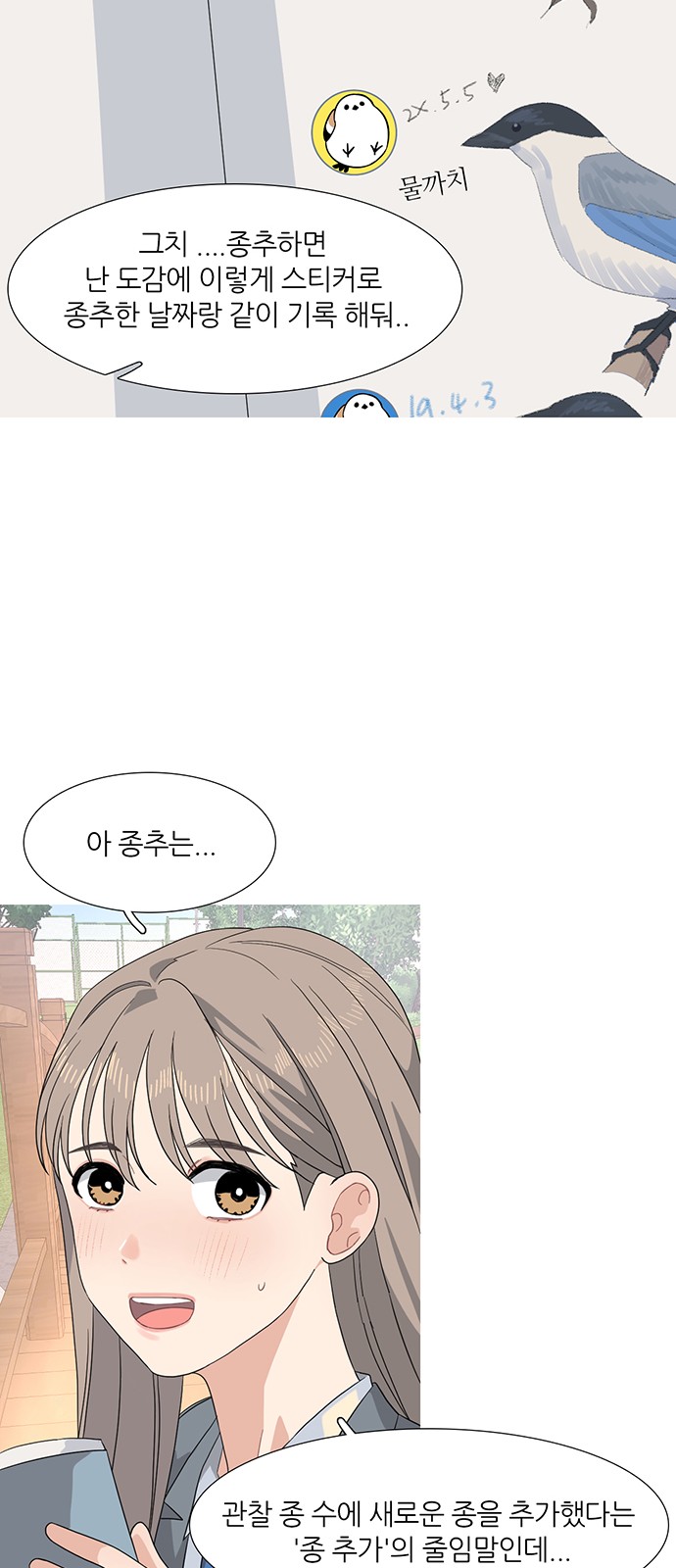 40 페이지